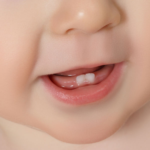 close up shot of infant teeth